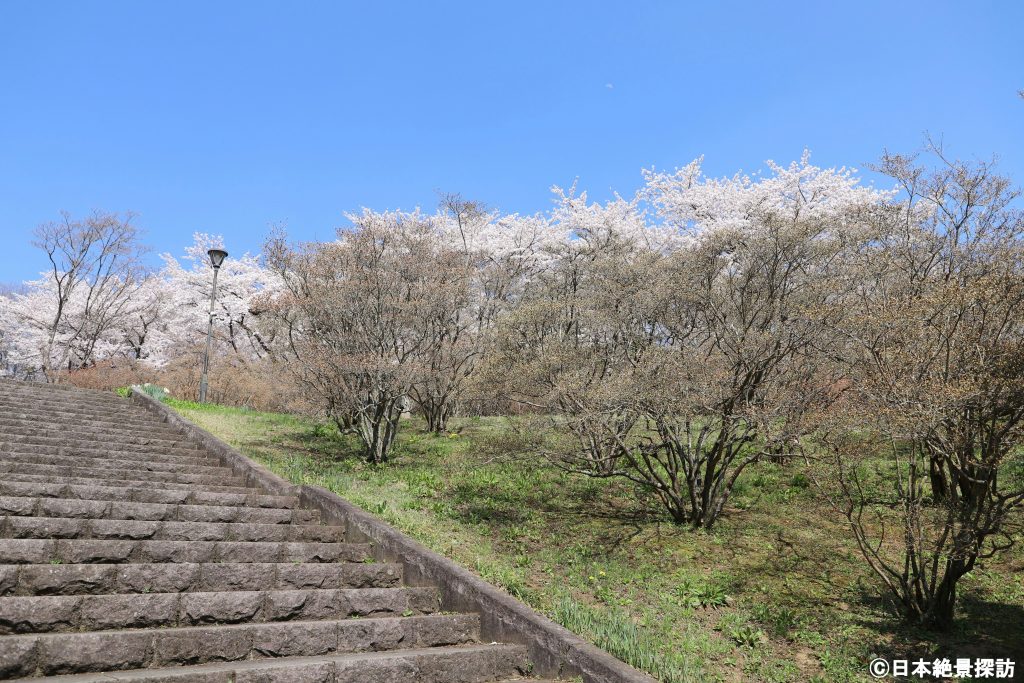 長峰公園（栃木県矢板市）・斜めに階段