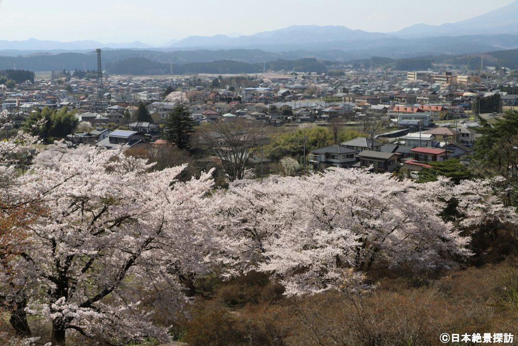 長峰公園（栃木県矢板市）・桜と矢板市街地