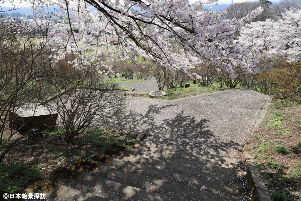 長峰公園（栃木県矢板市）・桜の踊り場