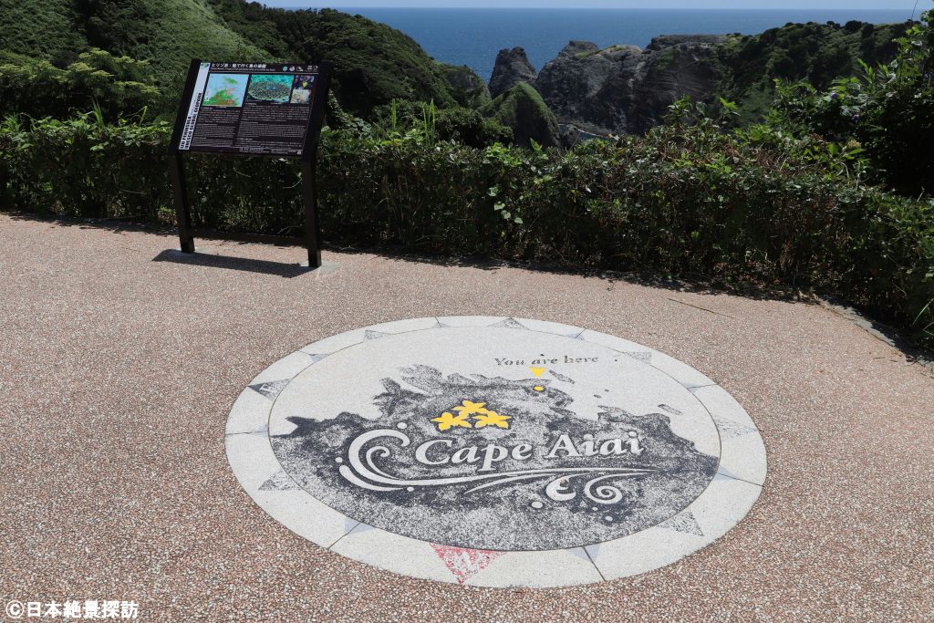 あいあい岬/奥石廊崎（静岡県南伊豆町）・Cape Aiai