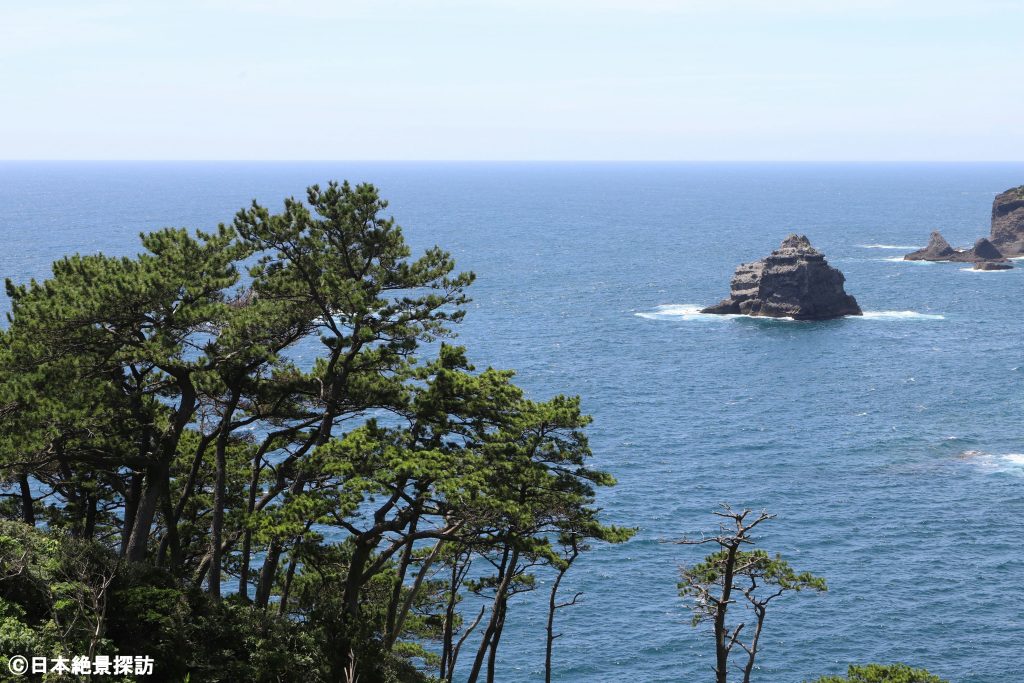 あいあい岬/奥石廊崎（静岡県南伊豆町）・松林と沖合に浮かぶ小島