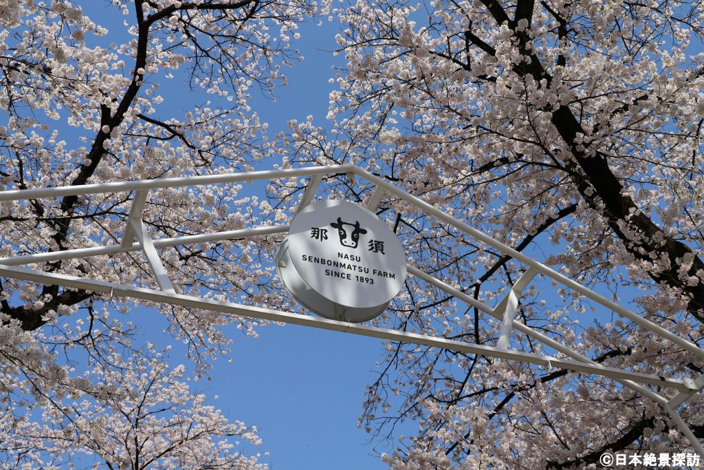 千本松牧場（栃木県那須塩原市）・SINCE 1893