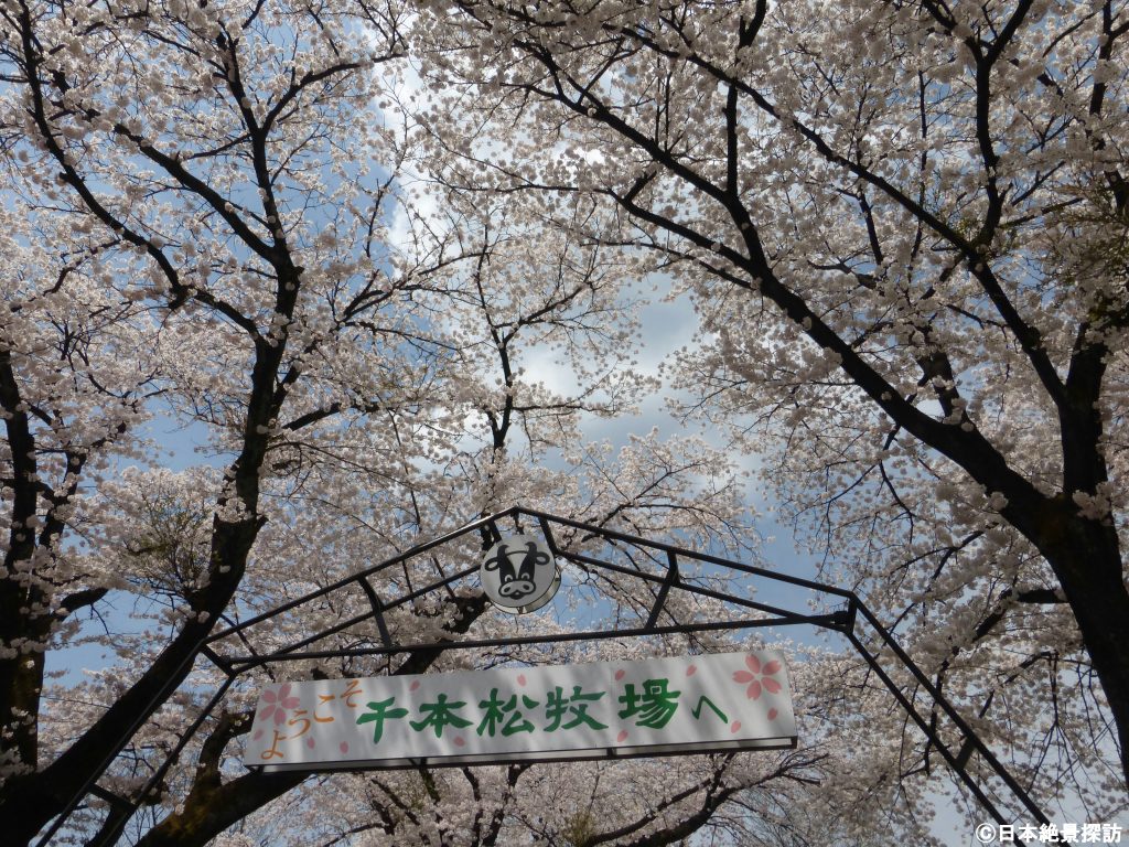 千本松牧場（栃木県那須塩原市）・以前の牧場入口