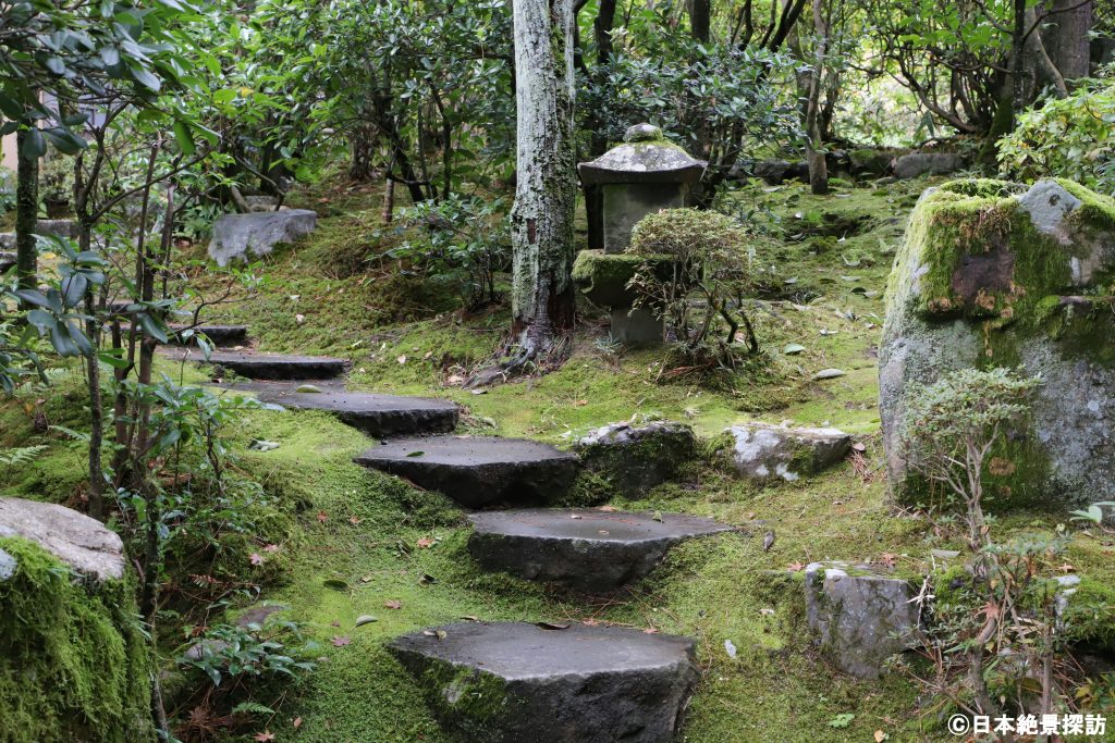 平安神宮（京都府京都市左京区）・苔生した石段