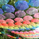 黒羽城址公園（栃木県大田原市）のアンブレラスカイ