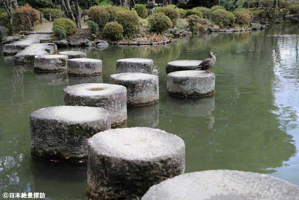 平安神宮（京都府京都市左京区）・少し背伸びをして...