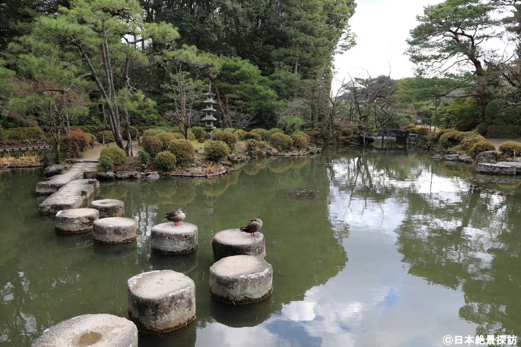 平安神宮（京都府京都市左京区）・いつの間にか1羽から2羽に