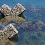 透明度抜群のふたみシーサイド公園（愛媛県伊予市）の海