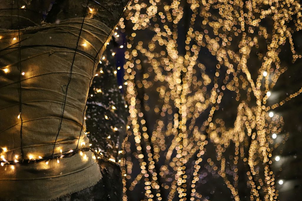 SENDAI光のページェント(宮城県仙台市青葉区)