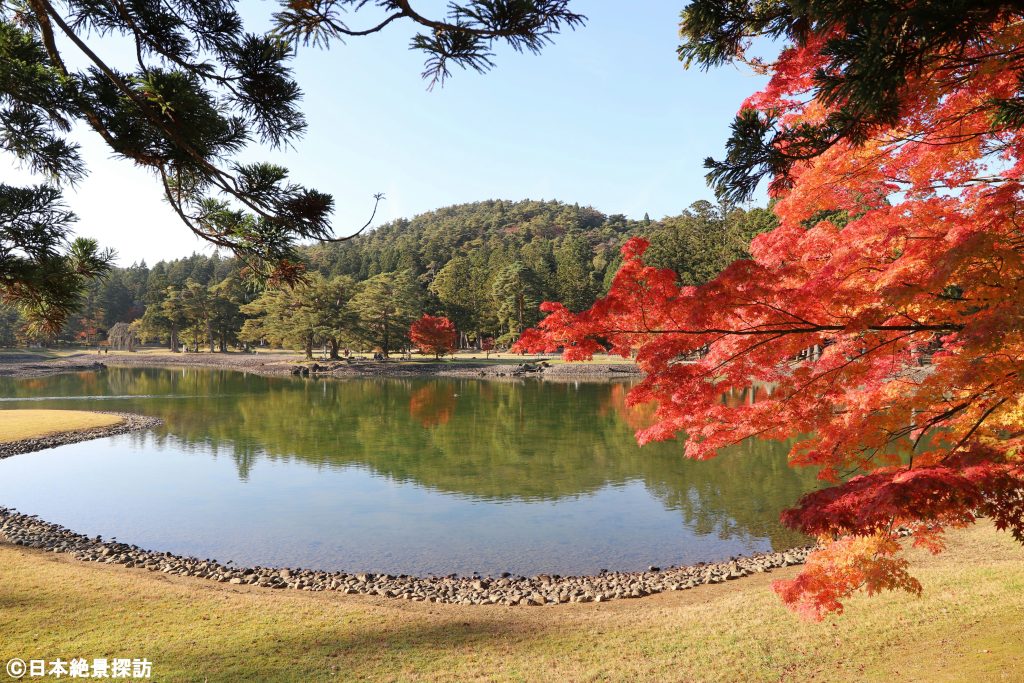 毛越寺（岩手県平泉町）・見事な紅葉の浄土庭園
