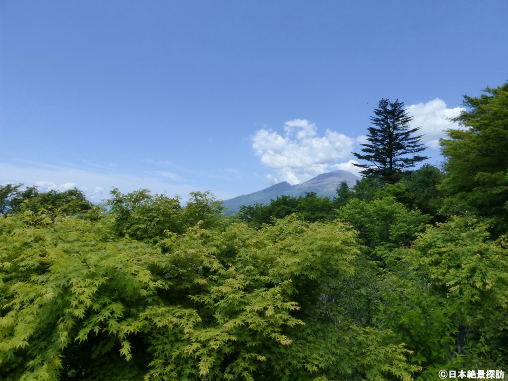 旧碓氷峠見晴台（長野県軽井沢町）・緑の季節の浅間山
