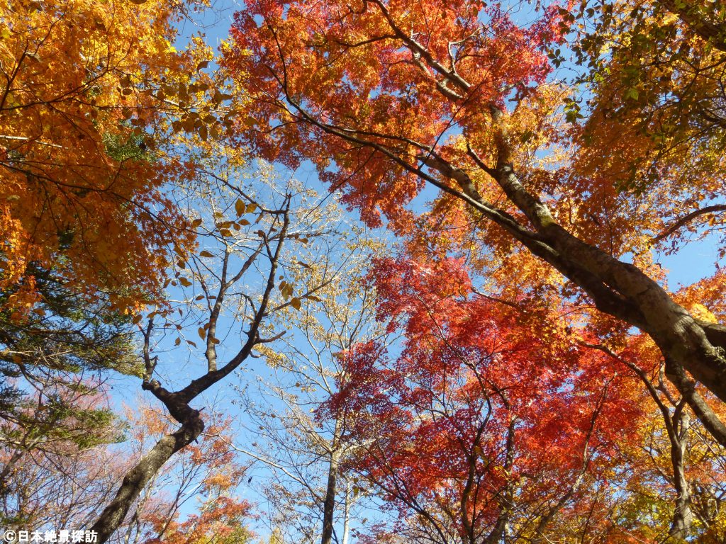 旧碓氷峠見晴台（長野県軽井沢町）・空を見上げる