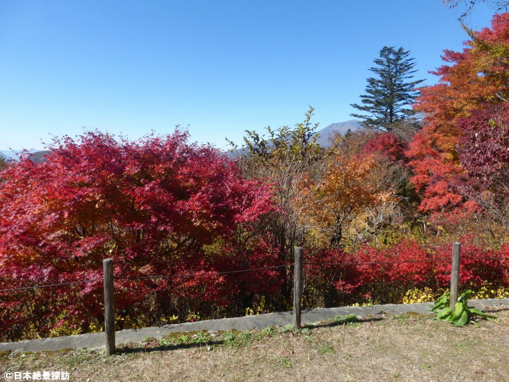 旧碓氷峠見晴台（長野県軽井沢町）・手前を彩る