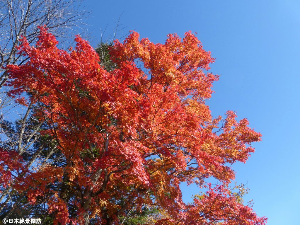 旧碓氷峠見晴台（長野県軽井沢町）・燃えるような