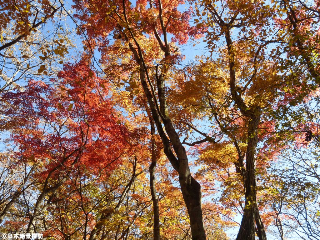 旧碓氷峠見晴台（長野県軽井沢町）・力強い色合い