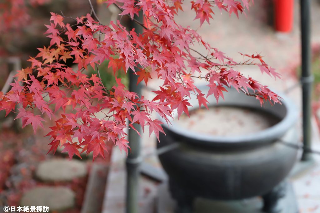 輪王寺（宮城県仙台市青葉区）・庭園の紅葉