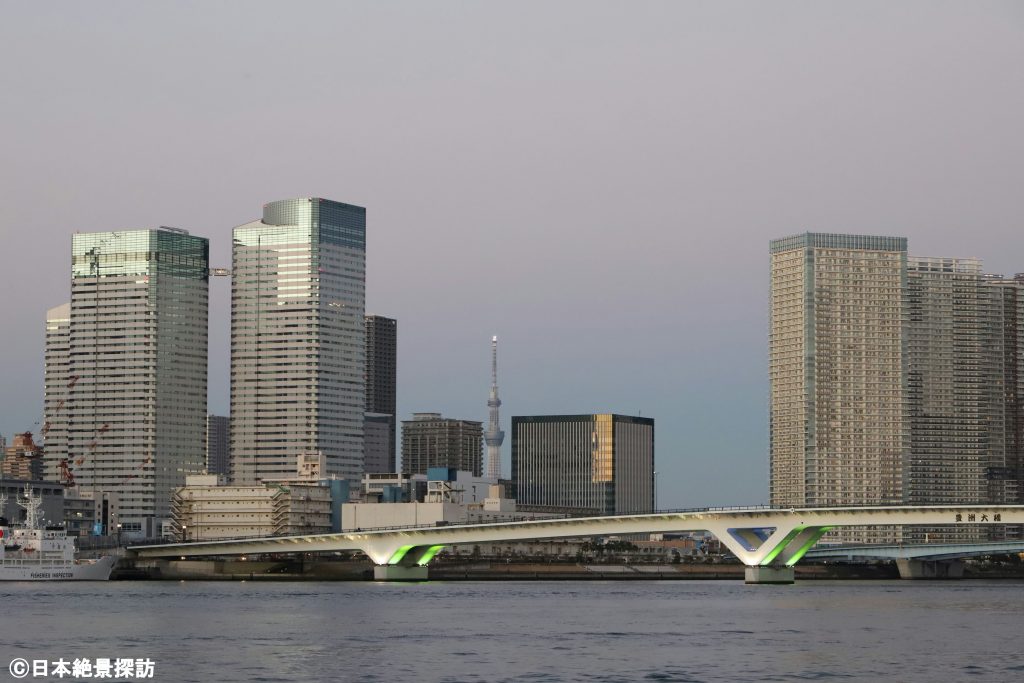 豊洲ぐるり公園（東京都江東区）・建物の間からスカイツリー