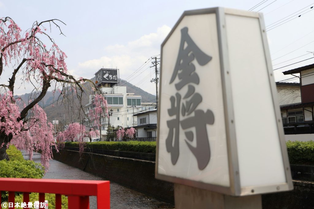 倉津川のしだれ桜（山形県天童市）・金将橋、しだれ桜、温泉街