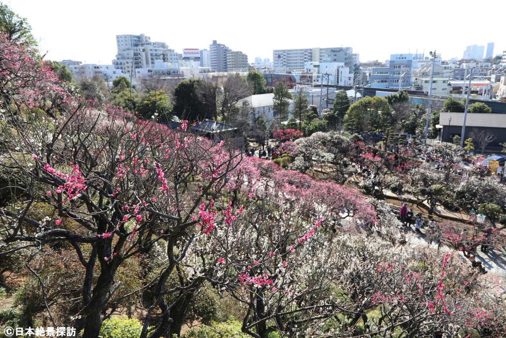 池上梅園（東京都大田区）・見晴台から