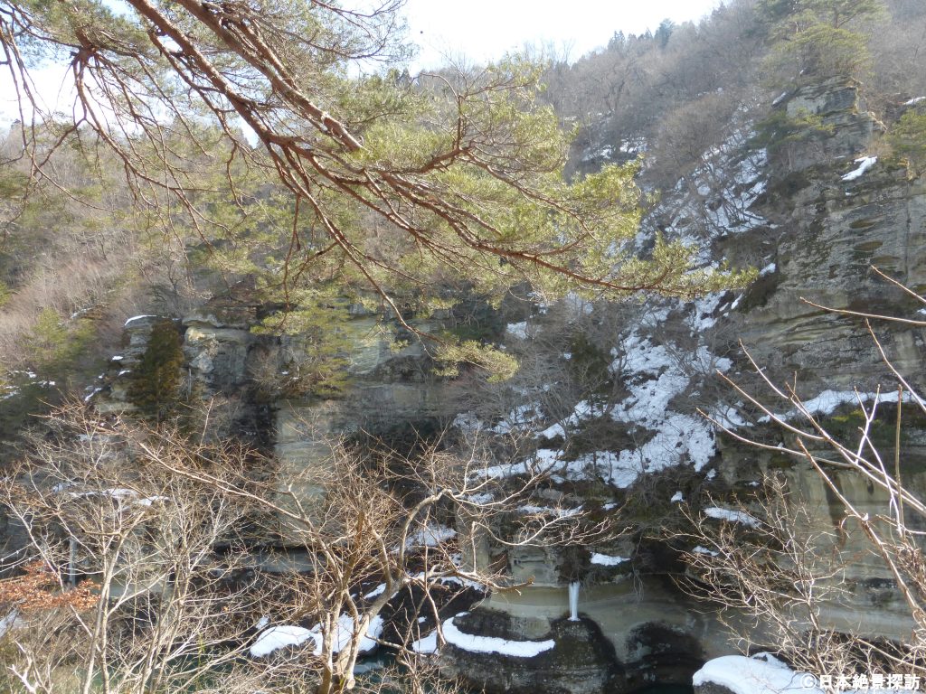 塔のへつり（福島県下郷町）・松林の隙間から...