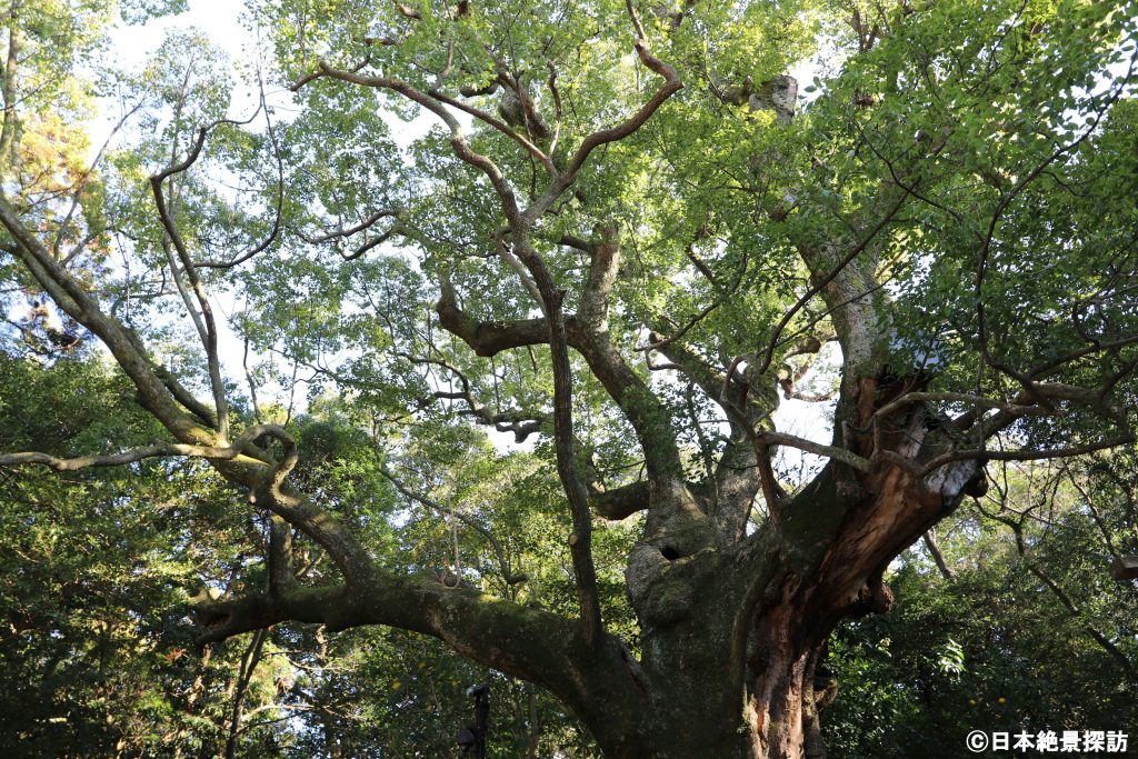 月夜見宮（三重県伊勢市）・緑豊かで心静かに参拝することが出来る境内