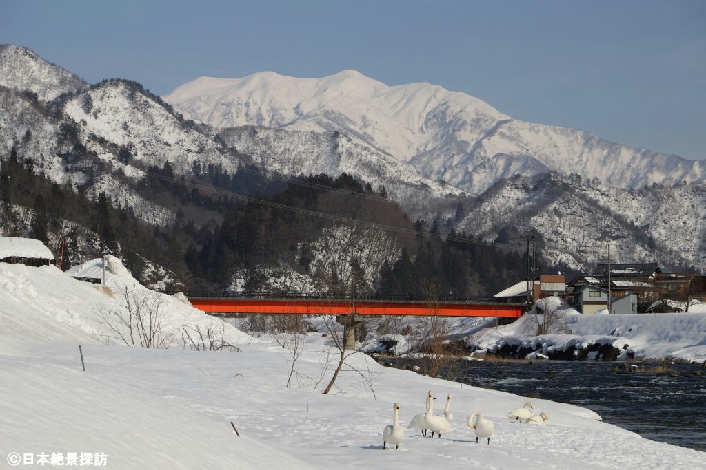 白鳥の郷公苑（新潟県三条市）