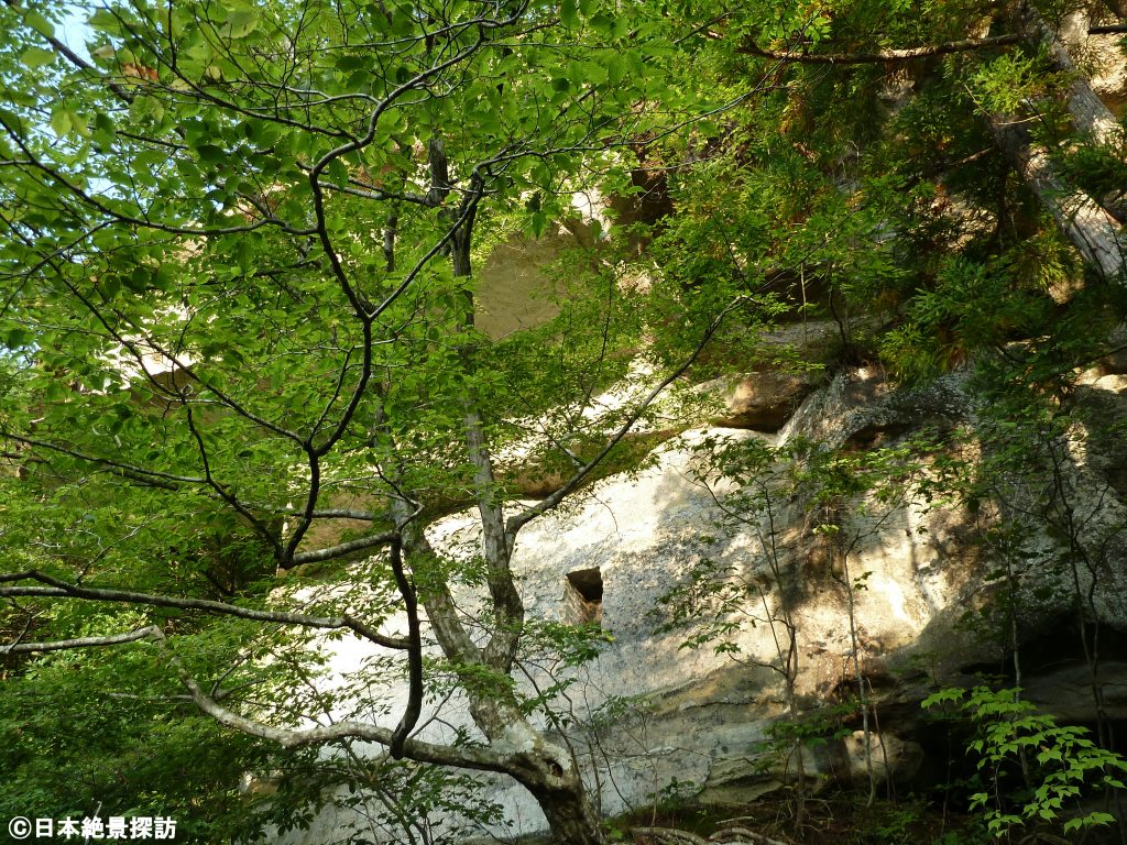 塔のへつり（福島県下郷町）・木々の隙間から
