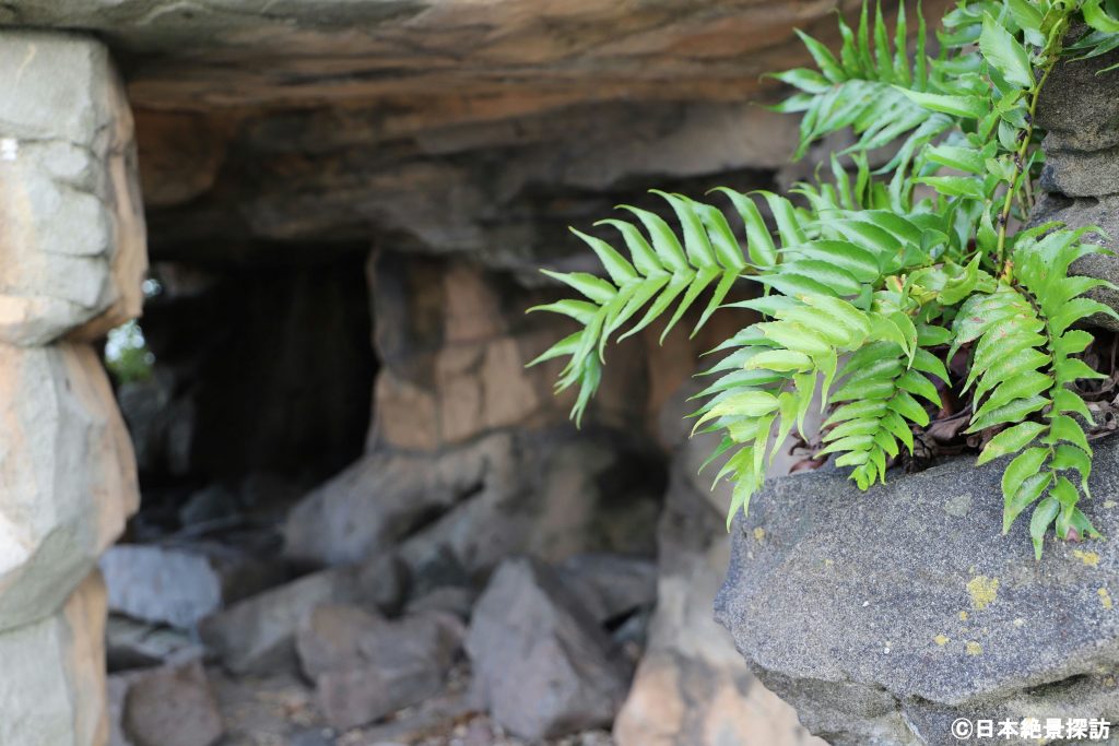 雨晴海岸（富山県高岡市）・洞穴