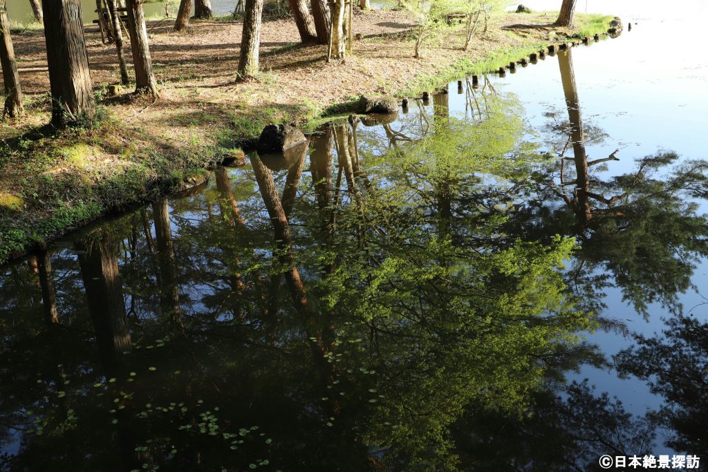 美女高原（岐阜県高山市）・美女ヶ池に映る緑の木々